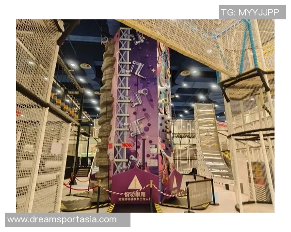 重庆攀岩队的灵活性探索与训练策略分析